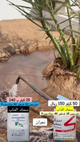 #محمد_سمحان #نجران_الان #مزارعي_نجران #بياض_نجران #مواكيل_نجران 