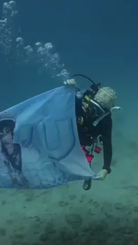 Hôm trước các tỷ tỷ cho em bay nay các tỷ tỷ cho em về với  nước 🐟🐟🐟🐟#ziyu #zy #meziyu #trending #viral 