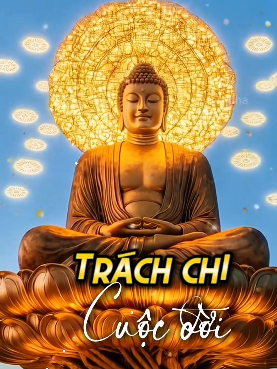 Trách chi cuộc đời.  ###Conduonggiacngo63  ###Quayvaotrongtâmthưc63  ###Anhsangphatphap63 