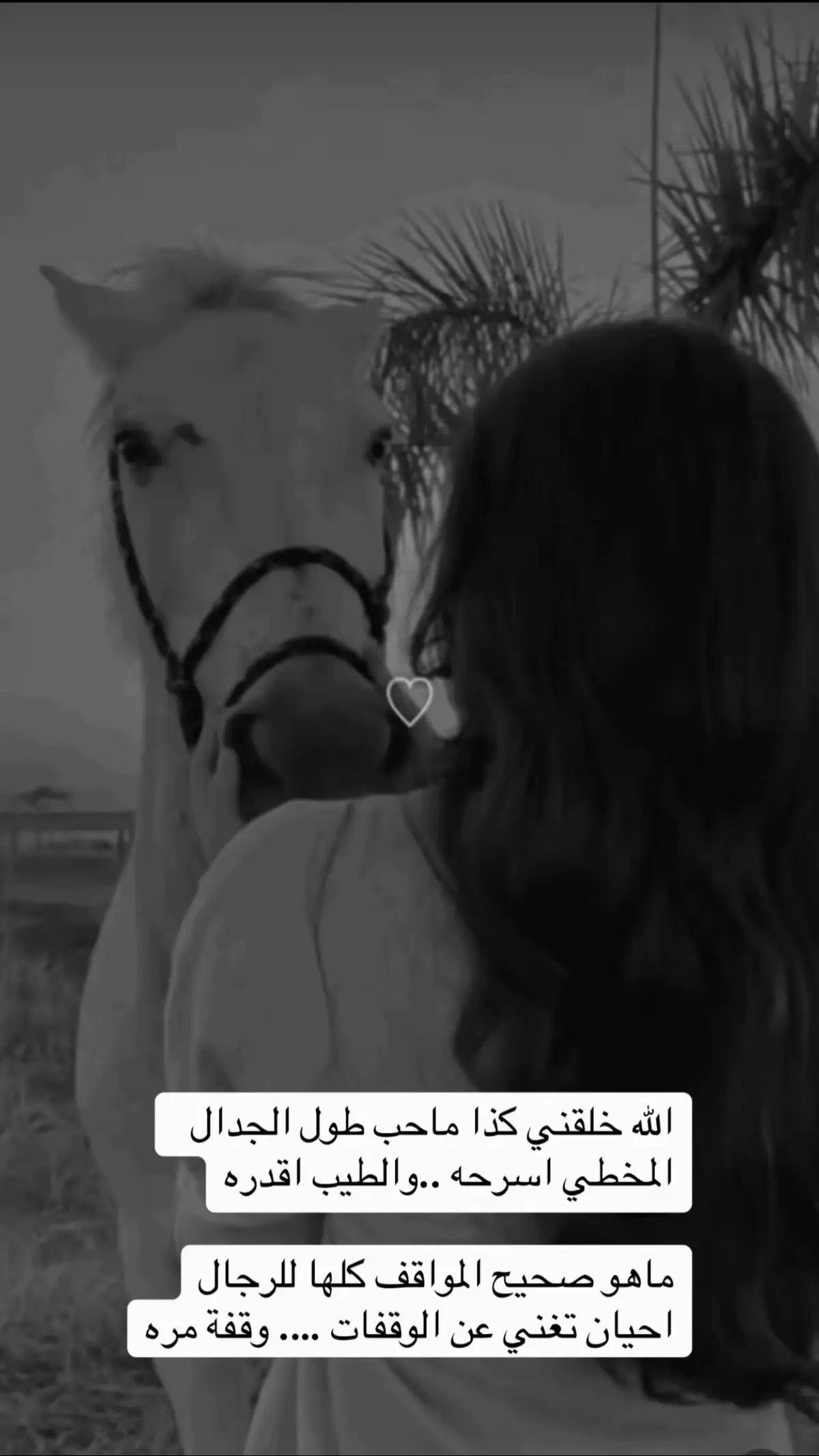#اكسبلورexplore 