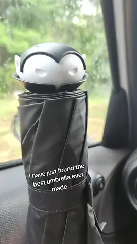 #bats #umbrella #spookyseason 