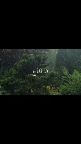 #ياسر_الدوسري #سورة_الاعلى #قرآن #استغفرالله 