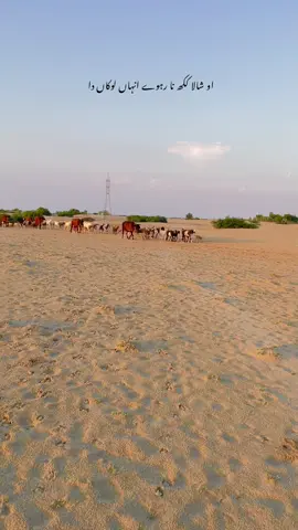 #fakepeople #peace #village #fyp 