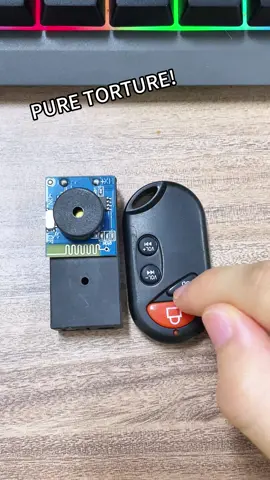 So where would you hide it? #tiktok #tiktokshop #prank #cricketnoisemaker #dealsforyoudays#tiktokbacktoschool #dealsfordays #fpy #funny #prankwars #toys 