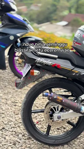ayo cah metu🫡 #twostroke #2tak #kawasakininja 