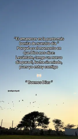 Buen día padre mío 🙌🏻❤️éxito para todos 🫶🏻#amen #buenosdias #diosesbueno 