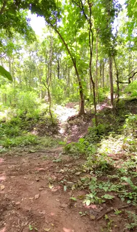 #hardenduro#endurolife#ktm300#