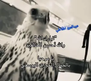 #fyp #explore #العتيبي 