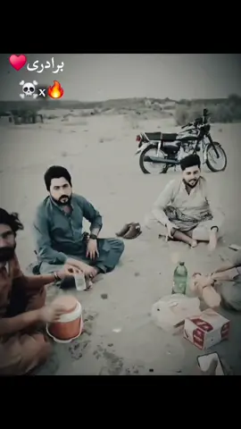 #CapCut  جٹ محکمہ 