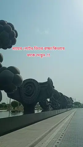মায়ের পেটের ভিতর বাচ্চা কিভাবে থাকে দেখুন #sidrahospitalqatar🇶🇦 #প্রবাসী #কাতার_প্রবাসী #dubai_abudhabi_dxb_uae #foryou 