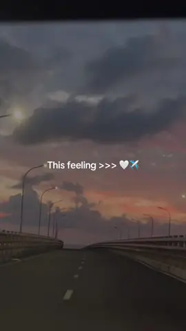 This feeling >>> 🤍✈️ @Shaitte🇲🇻 @𝐀𝐋𝐀𝐀𝐍𝐀 🇲🇻💋ྀིྀི @ACIDEY§  #fyp #foryoupage #fypシ゚ #maldivestiktoker #eefu 