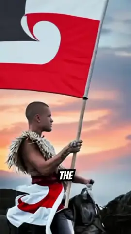 #duet with @Māori Power Uncovered #nzhistory 