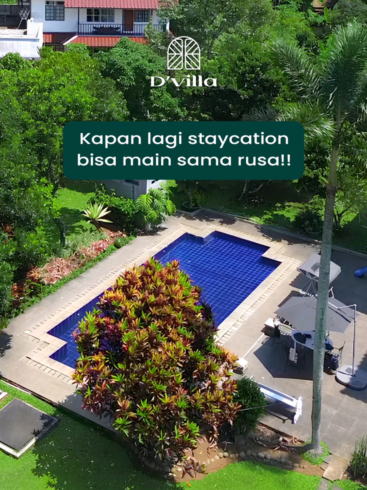 Fix… kalau liburan ramean sih villa ini udah paling worth it 🏡✨ #StaycationGoals #villapuncak #villapuncakbogor #villamurah #fyp 