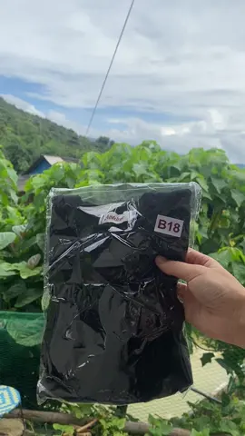 Ai bảo rẻ thì không đẹp? Thử áo này đi rồi biết 😎 #xuhuong #ngocvan21 #tiepthilienket #aocotton 