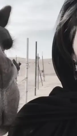 #اصعب من الفرقا وقل المواصل انك تحاول تكره الي تحبه