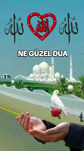 #Amin🤲🏻 #tik_tokk #foryoupag #kesfettiktok #engelimikaldır 
