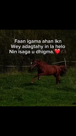 . . ❤️🫶🏿 . . #fyp #M🚩 #somalitiktok #foryoupage #viral 