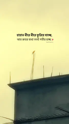 হায়াত ধীরে ধীরে ফুরিয়ে যাচ্ছে, আর রুহের ব্যথা ততই গভীর হচ্ছে..❤️‍🩹🥀#bdtiktokofficial #foryoupage❤️❤️ #bdtiktokofficial🇧🇩 #foryoupage #growmyaccount✅ @TikTok @TikTok Trends 