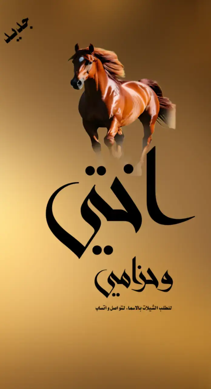 شيلة مدح اختي #اكسبلور #اكسبلور explore# السعودية 🇸🇦#الشعب _الصني _ماله _ حل😂😂#for you #you 
