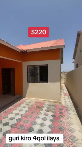 Tell 0638880503