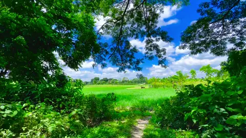 হুজুরের বলা ছোট্ট একটি বাণী #viral #fyp ##natural 