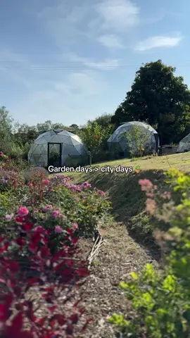 Garden days > city days… and we wouldn’t have it any other way! 🪴🌺✨ #chucklinggoat #behindthescene #garden #gardentok #gardeninspiration 