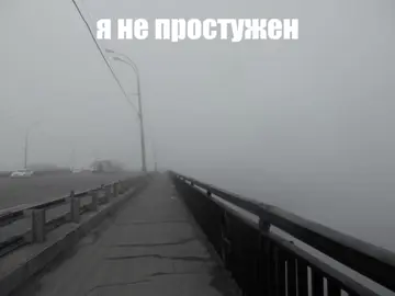 я не простужен #фортуна #fortuna #812 