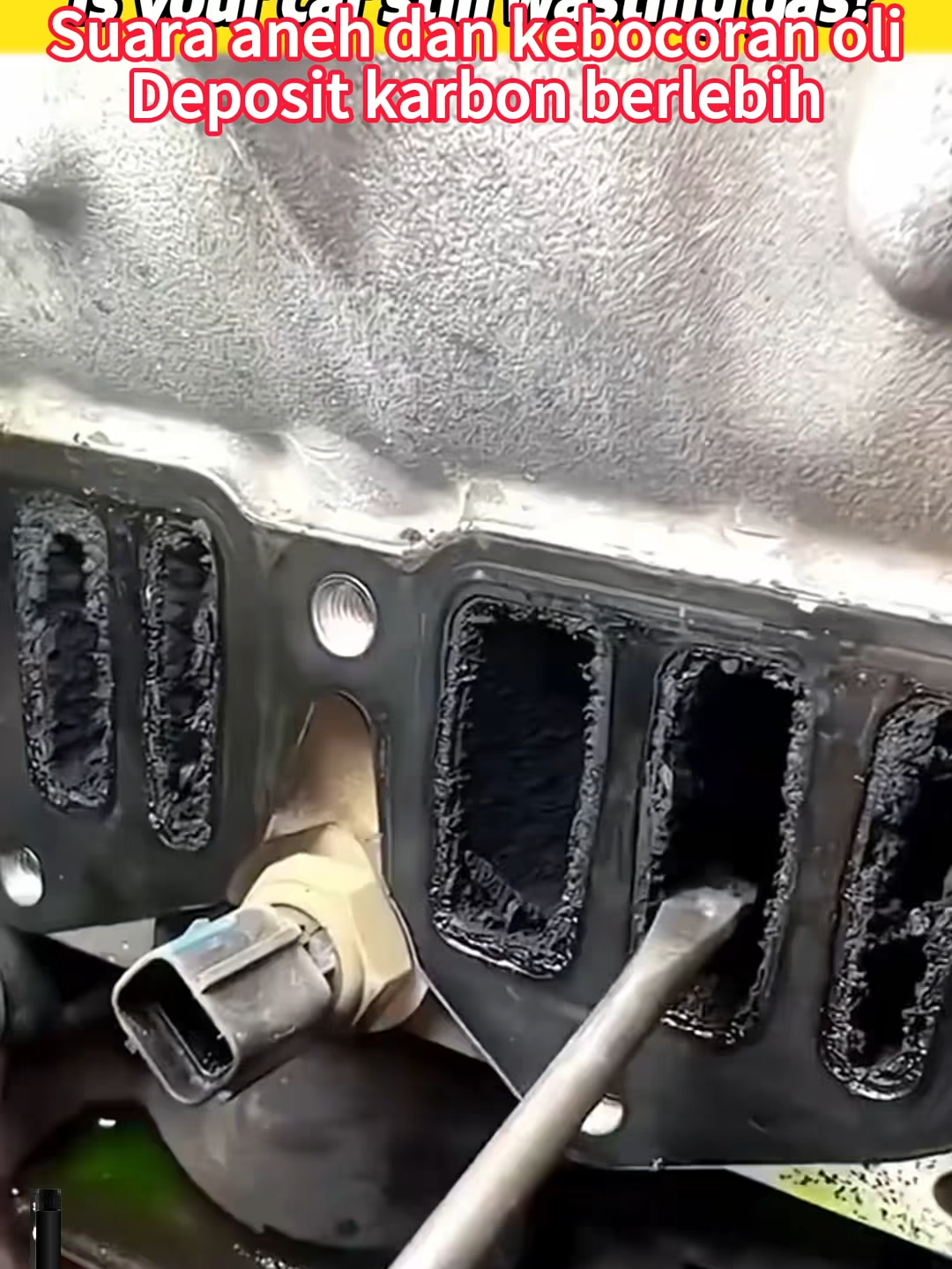 Penguat Bahan Bakar Standar - Membersihkan Injektor dan Throttle Body Secara Efektif - Cocok untuk Semua Kendaraan#foryou