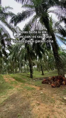 Beda kelas lek