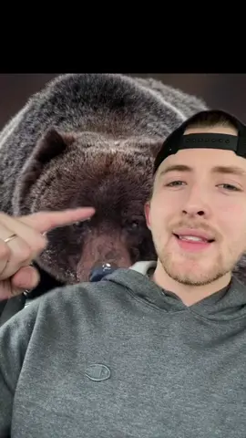 Low key this dude doesnt stand a chance against a guy like me #greenscreen #grizzly #bear #boss #theboss #him #wildlife #tank #nature #mothernature #food #crazy #fy #fypage #fypシ゚viral #viral #video #trend #trending 