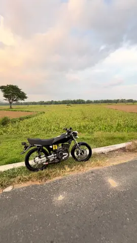🤙💃🏻#fyp #rxkingspekblayer #rxking135cc #rxkingindonesia 