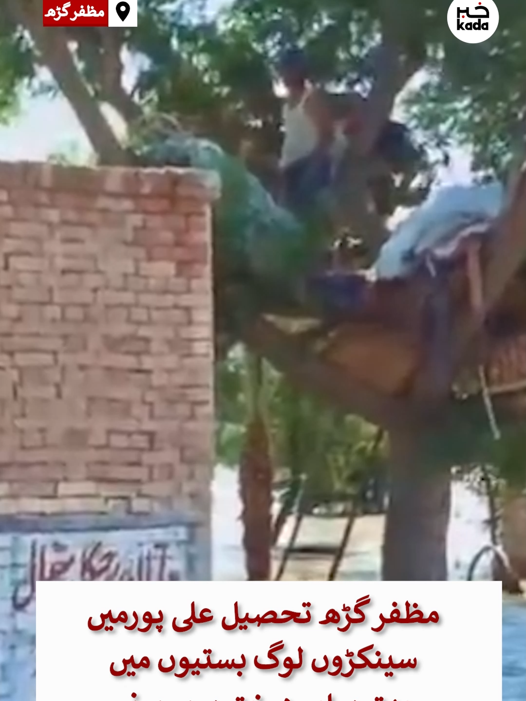 مظفر گڑھ تحصیل علی پورمیں سینکڑوں لوگ بستیوں میں سینکڑوں لوگ بستیوں میں  چھتوں اور درختوں پر یونہی پناہ لیے ہوئے ہیں #floodsinpakistan #climatechange #NDMA #khabarkada #rescue1122punjab #ClimateEmergency #govtofpunjabpk
