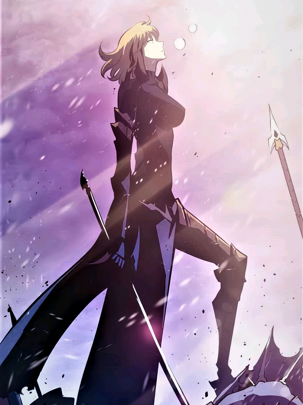 Hunter Rank S pula #sololeveling #sololevelingragnarok #sungsuho #chahaein #manhwa #fyp #fypdongggggggg 