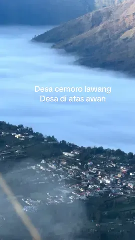 Desa cemoro lawang ,adalah desa  diatas awan #gunungbromo #bromo #bromomountain #explore #traveltiktok 