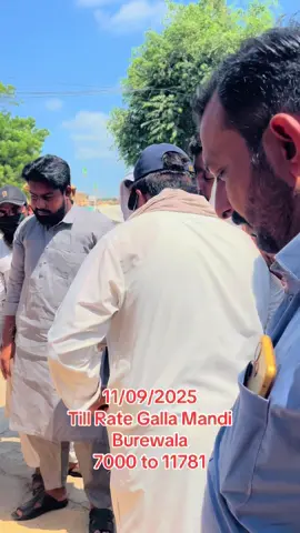 Daily Update Till Rate Galla Mandi Burewala @H@mid_Rehm@ni 