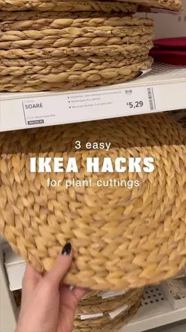 Ich hab in letzter Zeit super viele Stecklinge gezogen & diese IKEA Hacks gebastelt, um sie richtig schön aufzubewahren 🌿 Was ist euer Favorit – 1, 2 oder 3? 😍 #ikeahack #stecklinge #pflanzenvermehren #diyplanter #urbanjungle         