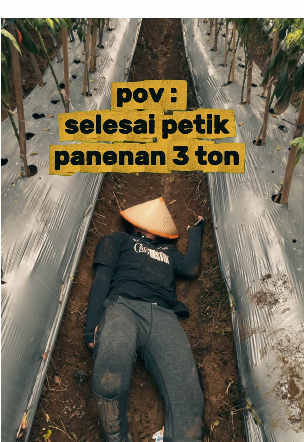 kalo mau ditambah lagi juga masih bisa di DM aja yaa  🙌 #petaniindonesia🇮🇩🇮🇩🇮🇩🌿🌿 #petanimuda #petanicabe 