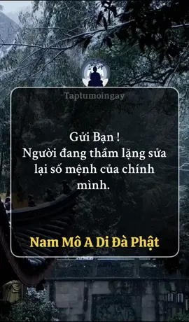 Gửi bạn, người đang từng chút một gom lại những mảnh vỡ của chính mình… Có vẻ bên ngoài, ai cũng nghĩ bạn ổn. Họ thấy bạn vẫn cười vẫn làm việc, vẫn nói câu “không sao đâu” rất khẽ. Nhưng chỉ bạn biết bên trong là những đoạn gãy chưa kịp lành. Là một trái tim từng rách mỏng như tờ giấy. Bạn từng ước, “giá như đời mình có thể xoá hết như một tờ nháp” nhưng bạn hiểu ra cuộc đời không cho ai bắt đầu lại từ trắng tinh, vì tất cả đã ghi dấu trong nghiệp quả và số mệnh. Chúng ta chỉ có thể sửa, chỉ có thể viết tiếp bằng sự hiểu mình sâu hơn, bằng những bài học cũ đã đổi thành can đảm và trí tuệ. Không ai biết bạn đã gục xuống bao nhiêu lần, bao nhiêu đêm bạn nằm im, tay đặt lên ngực, tự nhắc “cố thêm chút nữa thôi”, có khi chỉ cần một câu ai đó hỏi “bạn có mệt không?” cũng đủ để bạn bật khóc. Nhưng rồi lại lau nước mắt, lại kiên nhẫn chỉnh sửa từng viên gạch trong cuộc đời mình, dẫu biết có những nghiệp xưa không dễ gì xoá, và những vết thương cũ đôi khi sẽ nhói lại trong những ngày tưởng bình yên. Phật dạy: “nếu biết tu từ gốc, lá sẽ xanh”. Bạn đã bắt đầu biết nhìn sâu vào gốc rễ số mệnh. Không đổ lỗi cho ai, không oán trách ai là cách duy nhất để bạn giải thoát khỏi sợi dây nhân quả đã từng buộc mình quá chặt. Bạn không đợi ai xin lỗi, không mong ai quay lại sửa cho bạn. Bạn tự đặt lại từng hàng gạch chênh vênh trong lòng, dẫu tay còn run, dẫu tim còn đau. Bạn từng là người thích ồn ào, thích giải thích. Giờ, bạn chọn im lặng, vì hiểu rằng nghiệp nào thì tự mình gánh, duyên nào đến rồi đi cũng đều có lý do, bạn đã biết rời khỏi những mối quan hệ làm tim rướm máu, biết giữ lại điều gì, buông điều gì để tâm được nhẹ, và mệnh được sáng. Người đang âm thầm sửa lại cuộc đời mình thường lặng lẽ nhất. Không rao giảng, không khoe khoang, không hận thù ai. Chỉ một lòng sống thiện, gieo nhân lành, vì hiểu rằng phước đức chính là của để dành trong mỗi kiếp người. Bạn biết ơn cả những vết xước, vì nếu không có chúng, làm sao bạn học được cách ôm lấy chính mình bằng lòng trọn vẹn, rồi sẽ đến một ngày, bạn lật lại những trang cũ len lướt đầy gạch xoá và mỉm cười “cảm ơn vì mình đã không bỏ cuộc, cảm ơn vì đã không để những điều tệ hại nhất giết chết phần sáng trong mình”. Gửi bạn, người đang lặng thầm sửa lại số mệnh của chính mình. “Sửa tiếp đi, đừng sợ sai, số mệnh nào cũng có thể chuyển hoá nếu ta chịu lặng mà soi, chịu sai mà sửa. Hãy thở chậm, giữ một góc lòng còn xanh, rồi bạn sẽ thấy vết thương từng mang là phân bón cho hạt mầm an yên được lớn lên.”  St  Nam Mô A Di Đà Phật #hocphatmoingay  #loiphatday #taptumoingay 