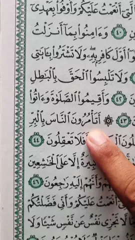 Recitation Of Quran Surah Al-Baqarah 📖 🎧 ♥️  #🤍 #quran #fyp #fypシ #foryoupage 