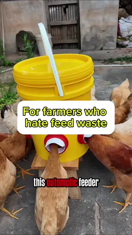 Chicken Keepers: This Feeder is a Lifesaver! 🫰🏻🐔❤️#backyardchickens #diychickenfeeder #chickencoop #farming #farmlife 
