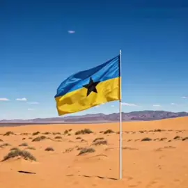 inni tchî-inni bey. #viral #tchadien🇹🇩tiktok #dazagara🇷🇴✌🔥🇱🇾✌🇳🇪 #touboudumonde🇷🇴🇱🇾🇮🇳🇹🇷✌️ #شعبالصيني_ماله_حل😂😂 