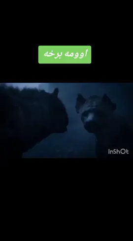اوومه برخه