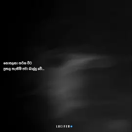 අනිවාර්යෙන්.. #whatsappstatus #status #luciferquotes #foryou 
