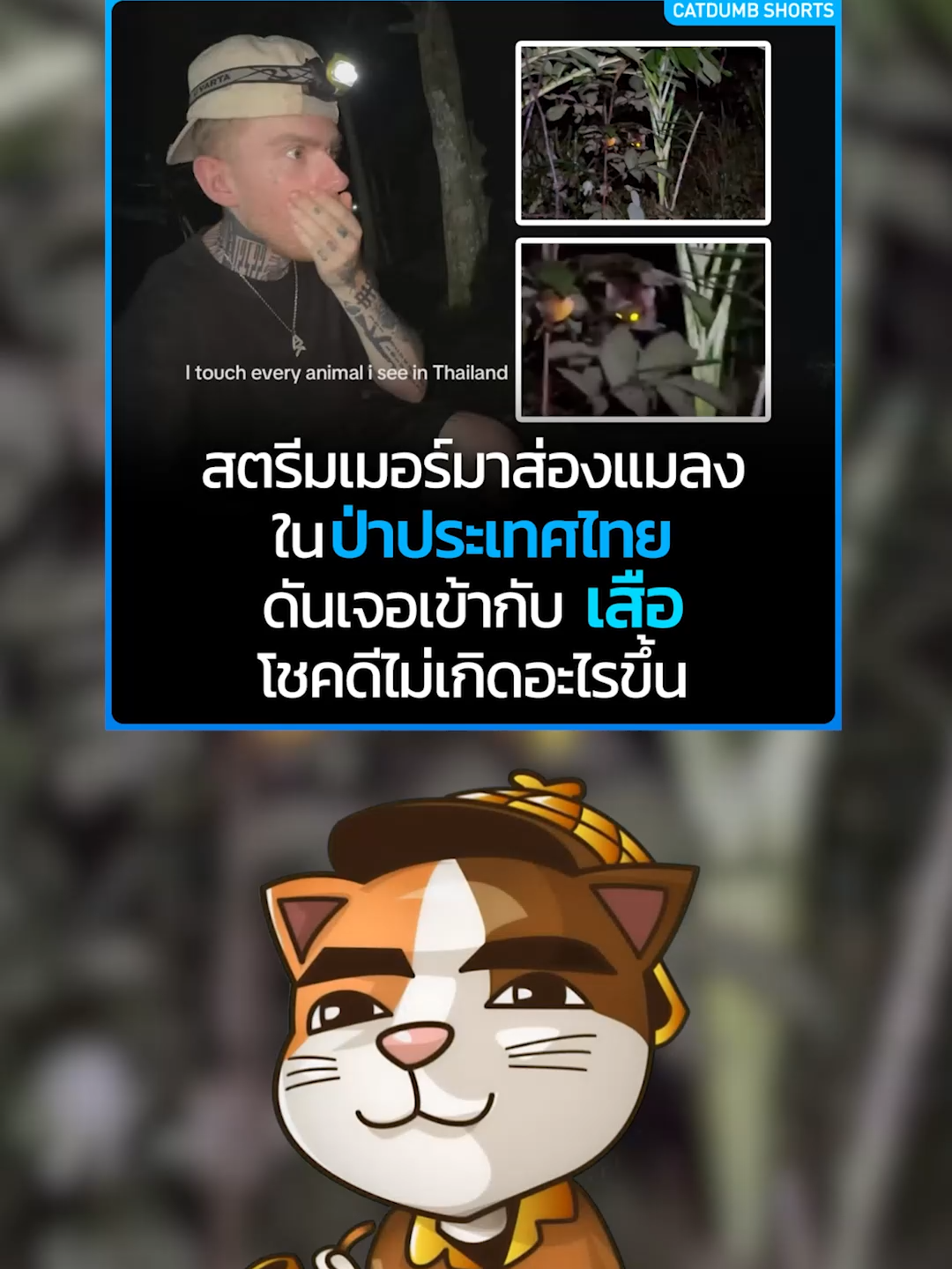ชายคนนี้มาส่องแมลงในป่าไทยแต่ได้ไปเจอกับ “เสือ” #ข่าวtiktok #CatDumb #เสือ #เหมียวสามสี #ส่องสัตว์