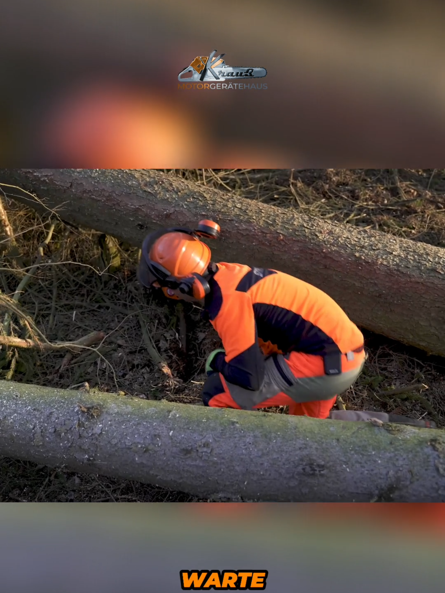 Der Sägen-GAU_ Was dann passierte, war unglaublich! #stihl #woodworking #tipsandtricks