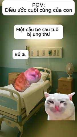 Thế giới luôn có tình yêu…#meme #mememeo #memecat #xuhuong #viral 