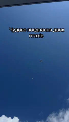#alpharobotics#безпілотнісистеми 