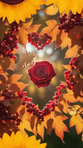 It’s another day for you to shine, not just for yourself, but for others too.”