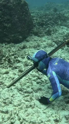 How We Catch Octopus in Hawaii! #fishing #spearfishing #fishinglife 