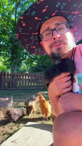 Chickens inspired by @Anna Elizabeth #chickensoftiktok #goodmorning #dance #twerk #fyp 